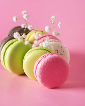 Sweet and Colorful French Macaroons or Macaron on Pink Background Dessert Vertical Flowerの写真素材