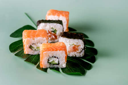 Sushi Roll (Philadelphia) with Salmon Cream Cheese on Fake Monstera Leaf on Green Background Sushi Menu Japanese Foodの写真素材
