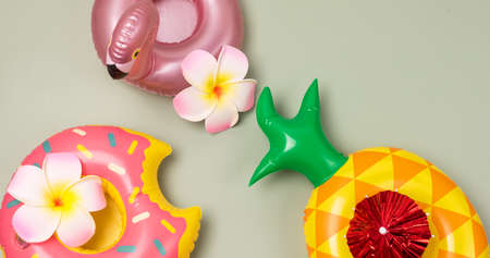 Various Inflatable Toy Rings on Green Background Drinks Holders for Swimming Pool Party Toy Rings in Shape of Donuts Pineapple and Flamingo Longの写真素材