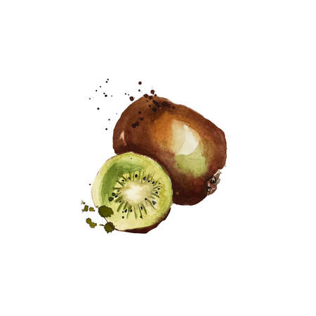 Kiwi fruits set with splashes watercolor illustration isolatedの写真素材