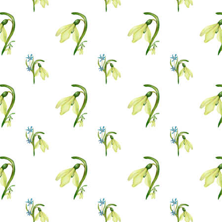 Snowdrops spring flowers watercolor pattern on white backgroundの写真素材