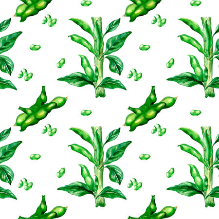 Plant green beans, haricot watercolor seamless patternの写真素材
