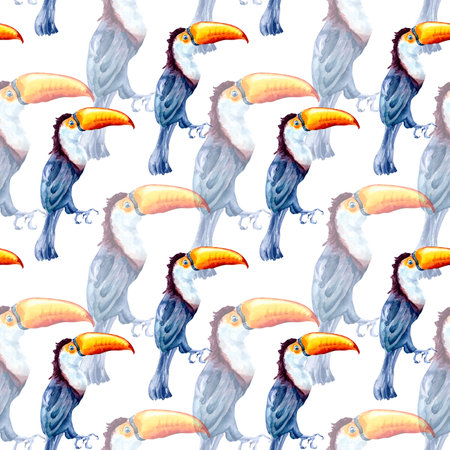 Toucan exotic tropical bird watercolor seamless pattern isolatedの写真素材