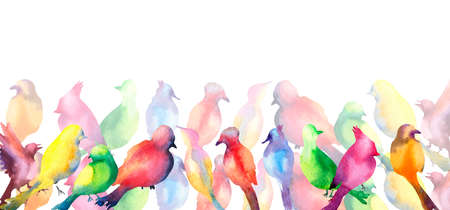 Banner of colorful birds silhouette watercolor illustration white background.の写真素材