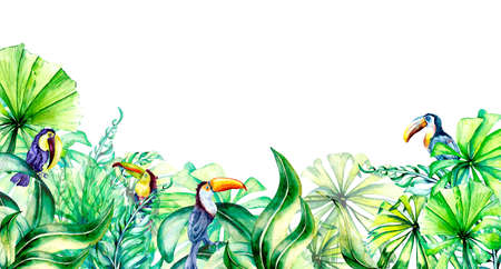 Exotic colorful banner with toucans, palms watercolor illustration on whiteの写真素材