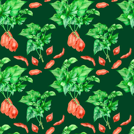 Seamless pattern of sweet potato bushes watercolor illustration isolatedの写真素材