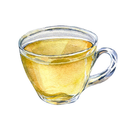Herbal tea in a glass transparent cup watercolor illustration isolated on white background.の写真素材