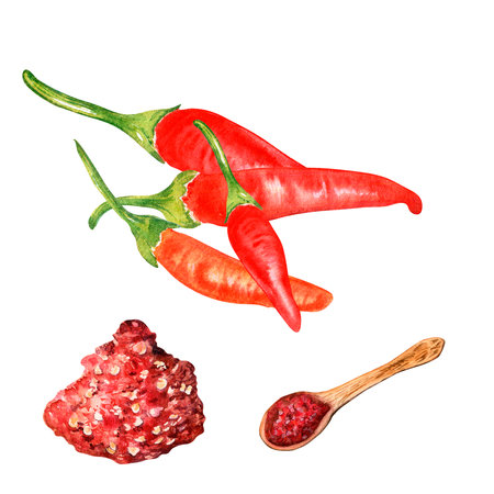 Composition of tabasco hot pepper watercolor illustration isolated on white.の写真素材