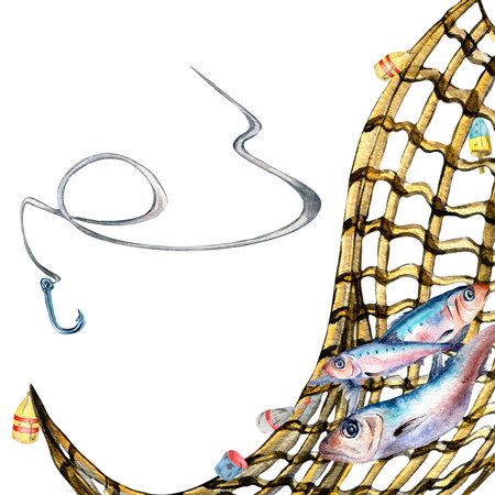 Composition of sardines and fishnet watercolor illustration isolated on white.の写真素材