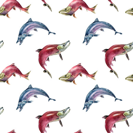 Seamless pattern of salmon, coho, chum watercolor illustration isolated on white.の写真素材