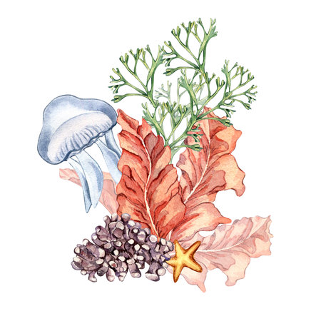 Composition of colorful sea plants watercolor illustration isolated on white.の写真素材