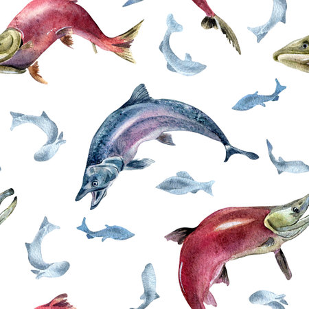 Seamless pattern of salmon, coho, chum watercolor illustration isolated on white.の写真素材