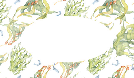 Wreath of colorful sea plants watercolor illustration isolated on white. Laminaria, kelp, herb seaweeds hand drawn. Design for label, frame, invitation, packaging, wrapping, marine collectionの写真素材