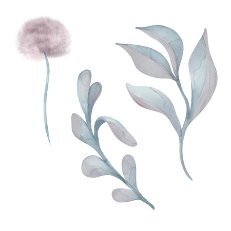 Watercolor illustration with abstract plants for baby isolated on white background. Hand drawn neutral leaves. Dandelion in pastel shades. Flower for birthday postcard or newborn shower, invitationの写真素材