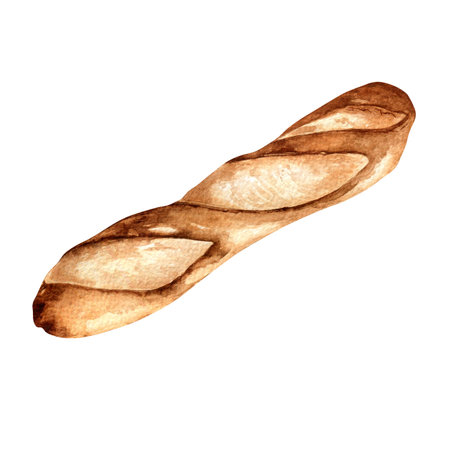 Fresh Baguette whole watercolor illustration isolated on white background. Hand drawn French bread for bakery. Painted bread. Element for design signage, menu, cookbook, wrapping paper, packagingの写真素材