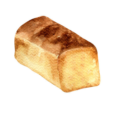 Fresh bread whole watercolor illustration isolated on white background. Hand drawn toast for bakery. Painted white bread. Element for design signage, menu, cookbook, grocery store, packagingの写真素材