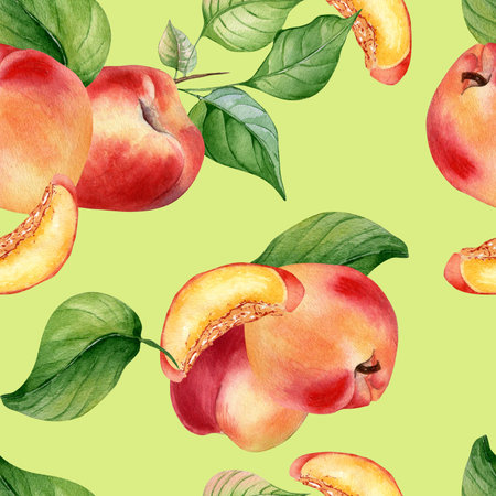 Fresh nectarines whole and half watercolor seamless pattern isolated on green background. Ripe fruits peach and leaves. Apricot hand drawn. Design element for package, textile, wrapping paper, fabricの写真素材
