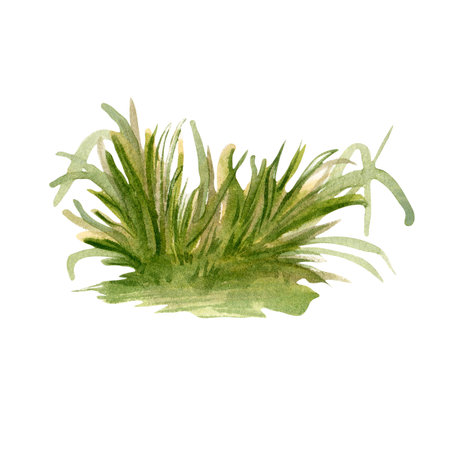 Watercolor landscape Field of grass illustration isolated on white background. Hand drawn green lawn. View of grassplot hand painted. Element for design landscape, package, rural or farm sceneの写真素材