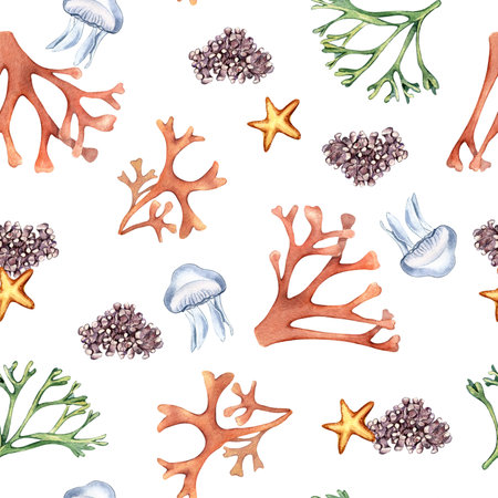 Watercolor seamless pattern of sea plants and starfish isolated on white. Seaweeds and coral hand drawn. Painted colorful algae print. Design element for textile, paper, packaging, marine collectionの写真素材