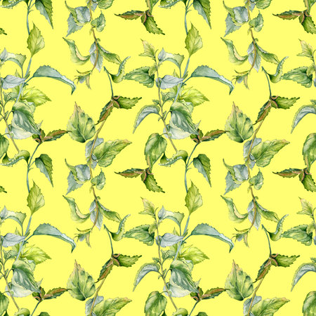 Nettle herbal plant watercolor seamless pattern isolated on yellow. Illustration of the Urticaria dioica stinging plant hand drawn. Print of useful herb. Design for textile, package, wallpaperの写真素材