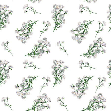 Achillea millefolium medicinal plant watercolor seamless pattern isolated on white background. Yarrow white flower painted. Useful herb milfoil hand drawn. Design for textile, package, fabricの写真素材