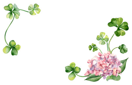 Banner with pink hydrangea and clover watercolor illustration isolated on white. Painted colorful flowers Easter card. Hand drawn Irish symbol. Design for St.Patricks day, springtime frame, packageの写真素材