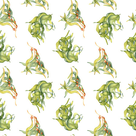 Watercolor seamless pattern of colorful laminaria illustration isolated on white. Kelp, seaweeds hand drawn. Painted algae. Design for background, textile, packaging, wrapping, marine collectionの写真素材