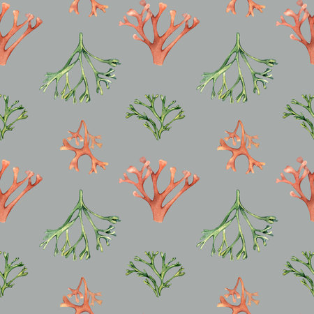 Watercolor seamless pattern of sea plants, coral isolated on blue. Pink palmata seaweed hand drawn. Painted codium, dulse. Design element for package, textile, paper, packaging, marine collectionの写真素材