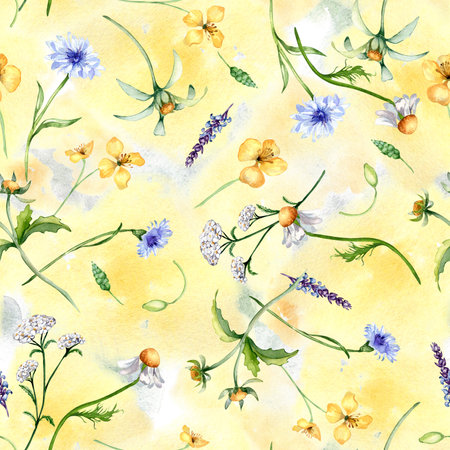 Floral seamless pattern with medicinal plants in watercolor isolated on yellow backdrop. Yarrow. celandine botanical print in sketch. Bur marigold, cornflower hand drawn. Design for textile, packageの写真素材