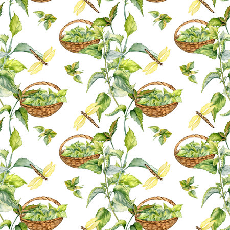 Nettle herbal plant with basket watercolor seamless pattern isolated on white. Illustration of stinging plant and dragonfly hand drawn. Print of useful herb. Design for textile, package, wallpaperの写真素材