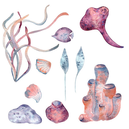 Underwater sea set with plants and creatures in watercolor. Sea shell, seaweeds and reef coral hand drawn . Monochrome pink and blue marine life clipart with fish and stingray illustration isolatedの写真素材