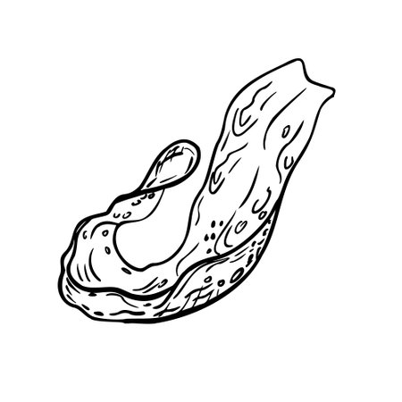 Splash juice, beer, oil black white linear vector illustration isolated. Berries juice, fluid motion water, falling spill monochrome graphic hand drawn outline for design packaging, label drink.のイラスト素材