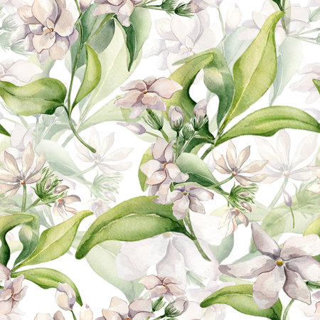 Jasmine on branch watercolor seamless pattern isolated. White flower camellia botanical repeated texture hand drawn. Flowers of jasmine and leaves painted for design wrapping paper, package, textile.の写真素材