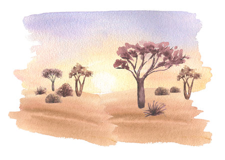 Savanna scenery with flora and colorful sky on sunset watercolor hand painted isolated on white. Acacia trees, dry bushes and plants landscape in soft brown colors. Desert dried ground on scenery.の写真素材