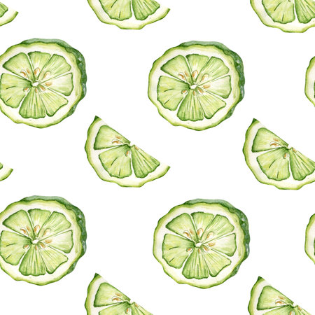 Juicy green citrus segments watercolor seamless pattern. Fresh sliced lime drawing isolated on repeated background. Halves bergamot hand drawn sketch. Citrus fruits for textiles, kitchen decor.の写真素材
