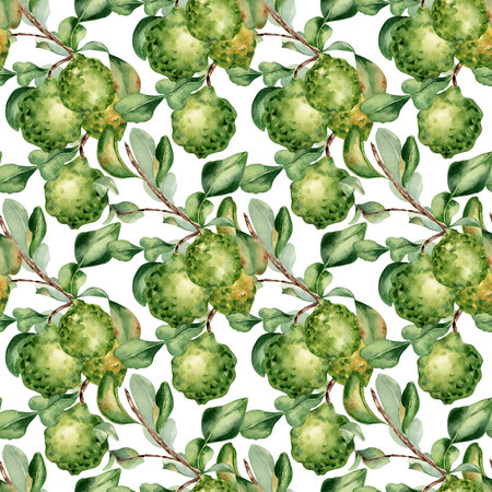 Seamless watercolor pattern with ripe bergamot on a branch isolated on white. Hand drawn citrus tree with fruits in a botanical style on endless background. For wallpaper, greenery designs.の写真素材