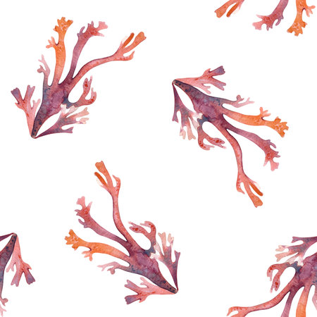 Minimalist marine seamless pattern hand drawn of colorful watercolor sea flora isolated. Abstract ocean plants repeated background in peach, red, mauve tones for tropical textile, beach accessories.の写真素材