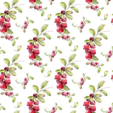Lingonberry cranberry watercolor seamless pattern isolated on white. Hand drawn botanical endless...
