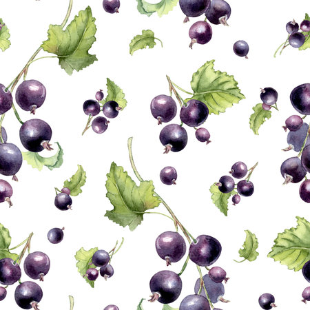 Bright summer watercolor pattern of black currant isolated on white. Seamless botanical background...