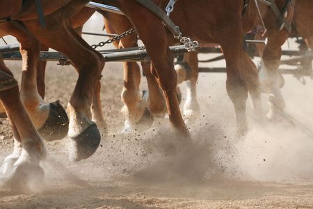 Hoof Dust - The feet of horses pulling a wagon through dirt.の写真素材
