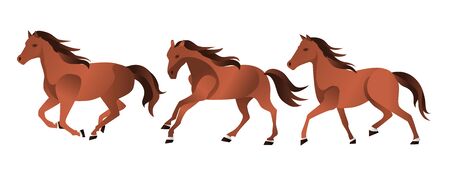 A herd of strong and fast 3 brown horses racing trio isolated vector illustrationのイラスト素材