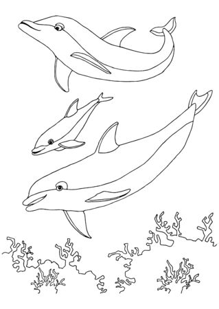 coloring book sea life. dolphins family. Underwater world. outline vector Black and white illustration for colouring book page.のイラスト素材