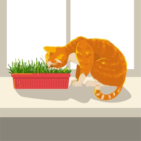 Cat eating grass sitting on a window on a windowsill at home. Red color kitten. concept sunny hand drawing style vector illustrationのイラスト素材