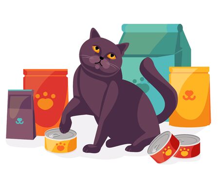 cat in pet store with packages and canned food for pets. British Scottish cat with its feed. Vector illustrationのイラスト素材
