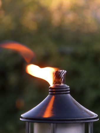 Burning oil lamp within the foliage closeup