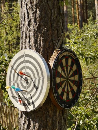 Darts targets on a tree trunkの写真素材