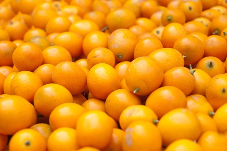 kumquatの写真素材