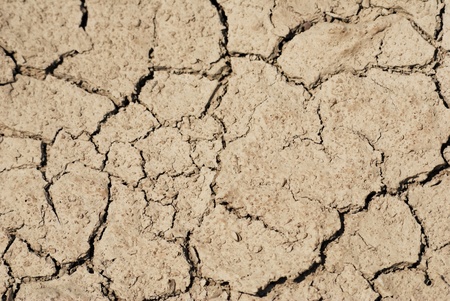 Cracked land caused by droughtの写真素材