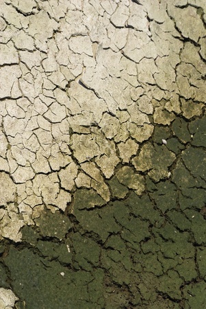 Cracked land caused by droughtの写真素材
