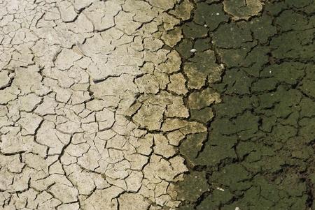 Cracked land caused by droughtの写真素材